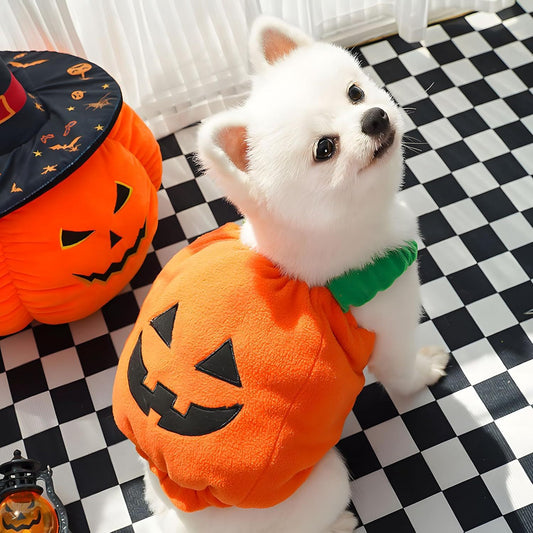 Funny Pumpkin Dog Halloween Costume