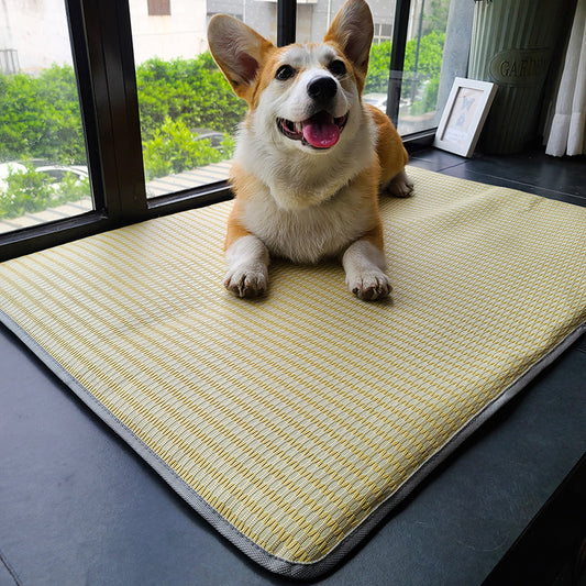 Dog Mat Sleeping With Pet Mat Summer Mat Anti Bite Mattress