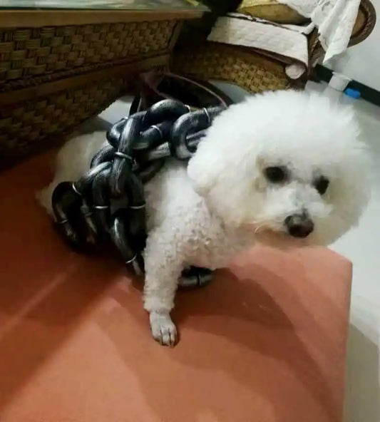 Simulation Iron Chain cool