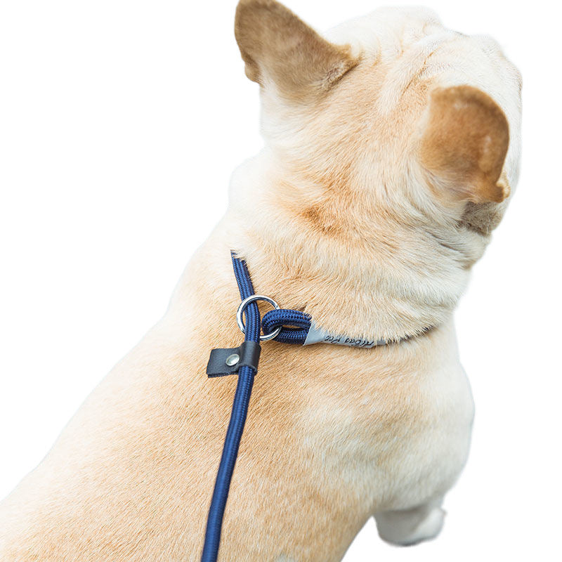 Dog Walking Training Hand Holding Rope