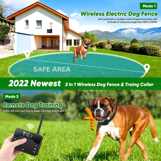 Outdoor Fence Remote Control Dog