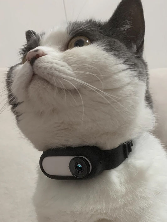 Mini Pet Collar Camera | HD Wireless Camera for Dogs & Cats