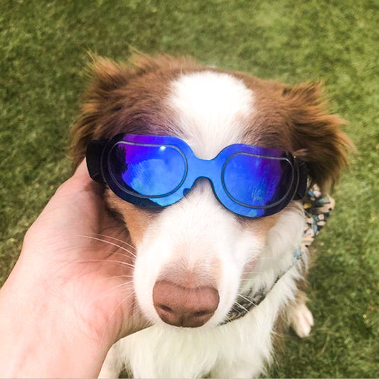 Pet supplies colorful dog glasses sunglasses