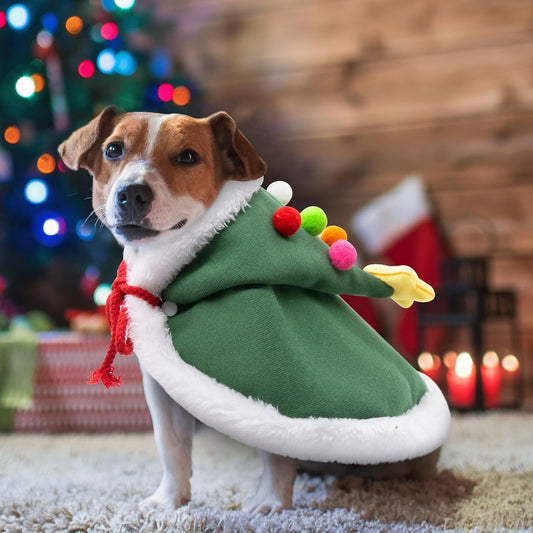 Cat Christmas Cape With Velvet Stars Hat