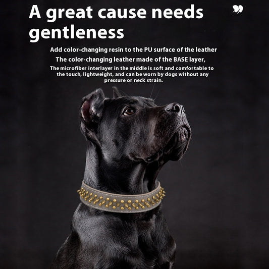 Studded Leather Dog Collar for Medium & Large Dogs | Rivet Spiked Pet Collar