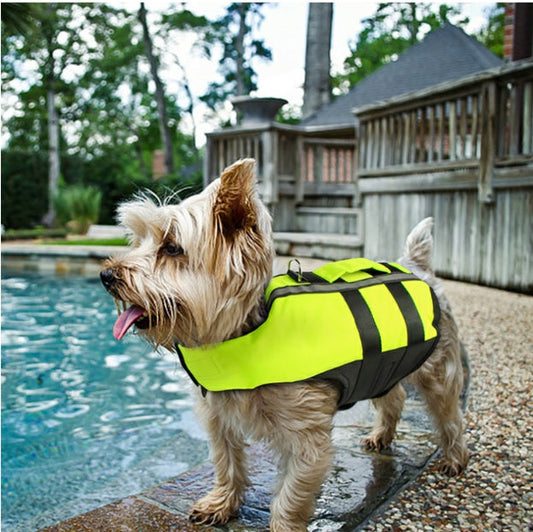 Summer Essentials for Dogs & Cats | Cooling, Swimming & Travel Accessories