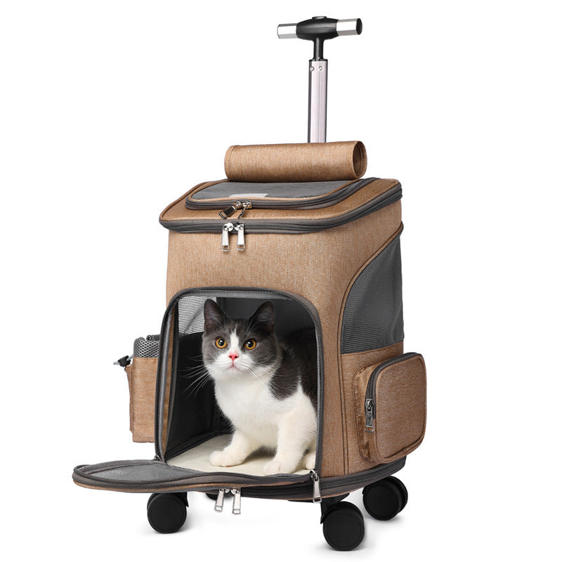 airline approved pet carrier