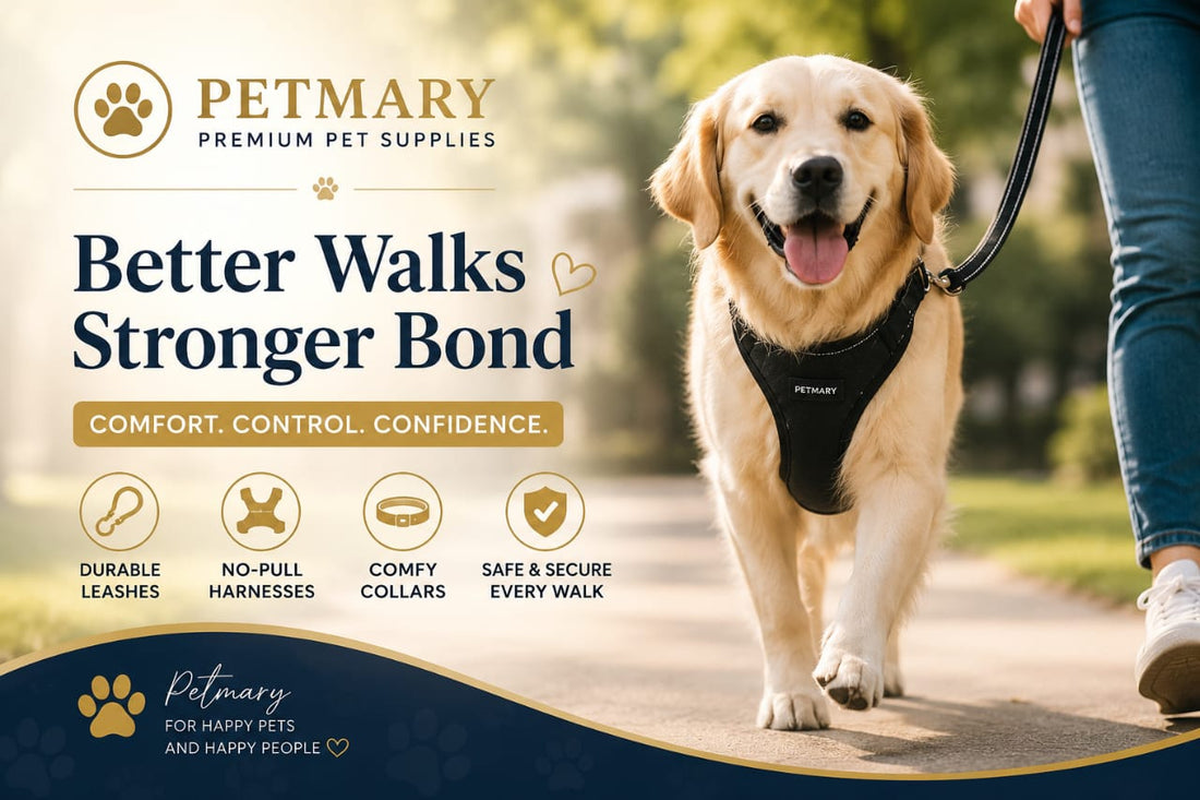 How to Stop a Dog From Pulling on the Leash | Petmary