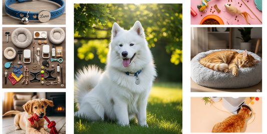 The Ultimate Guide to Pet Accessories in the USA and Europe