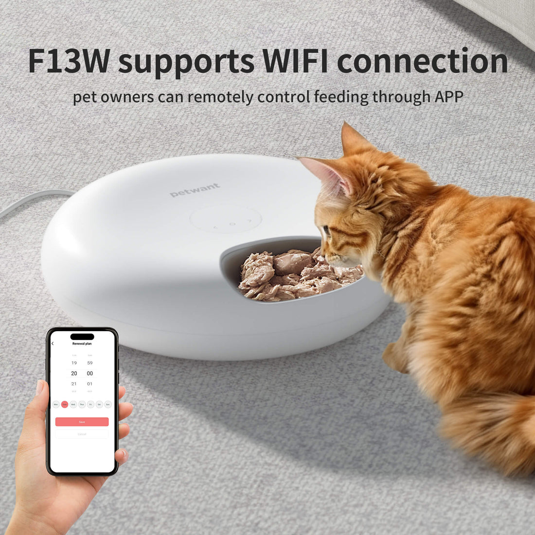 Automatic pet feeder with control feeding cat via mobile app