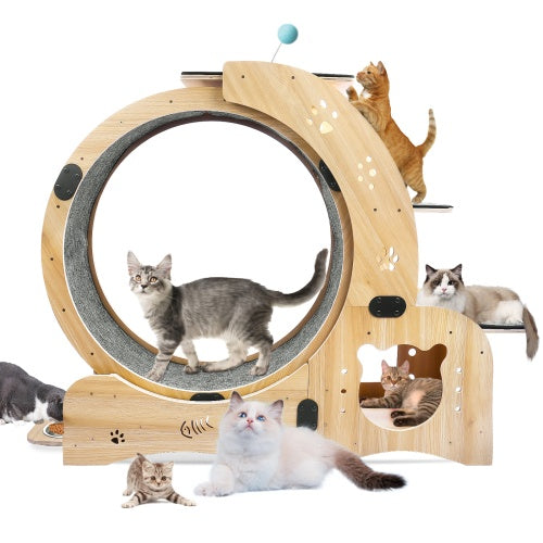 cat exercise wheel for indoor cats