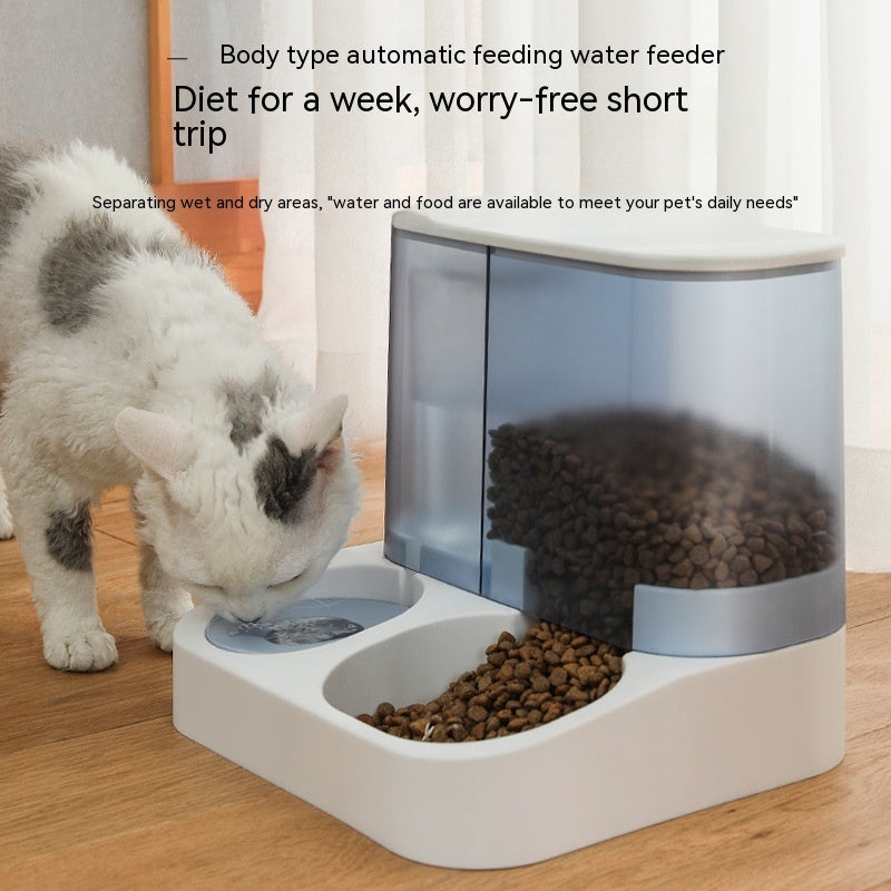cat eating food from automatic pet feeder smart feeding device