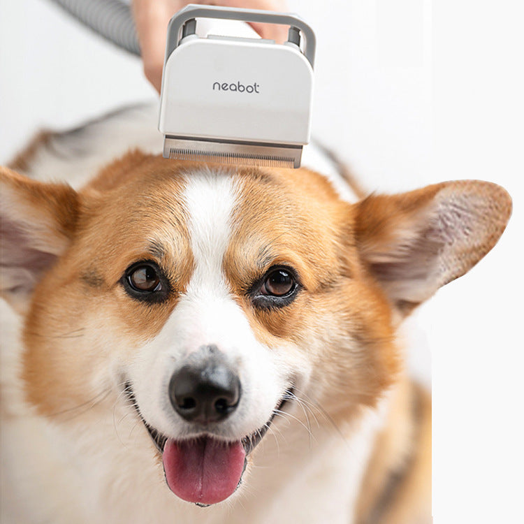 Grooming and Hygiene cover image