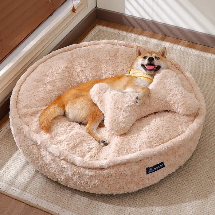 beds and comfort cover image