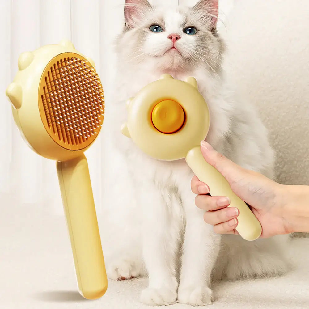 Grooming and Hygiene cover image
