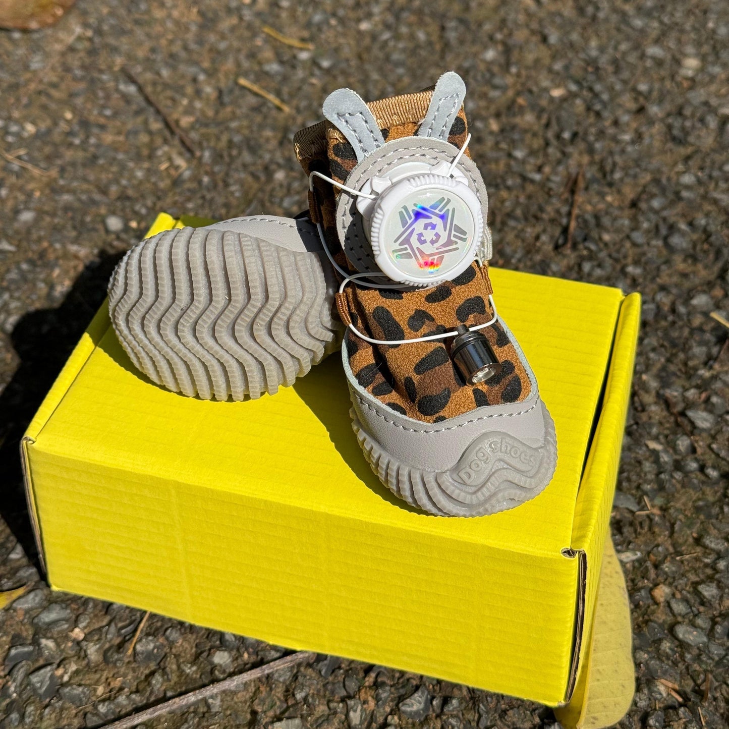 2026 New Glowing Dog Shoes 4PCS LED Light-Up