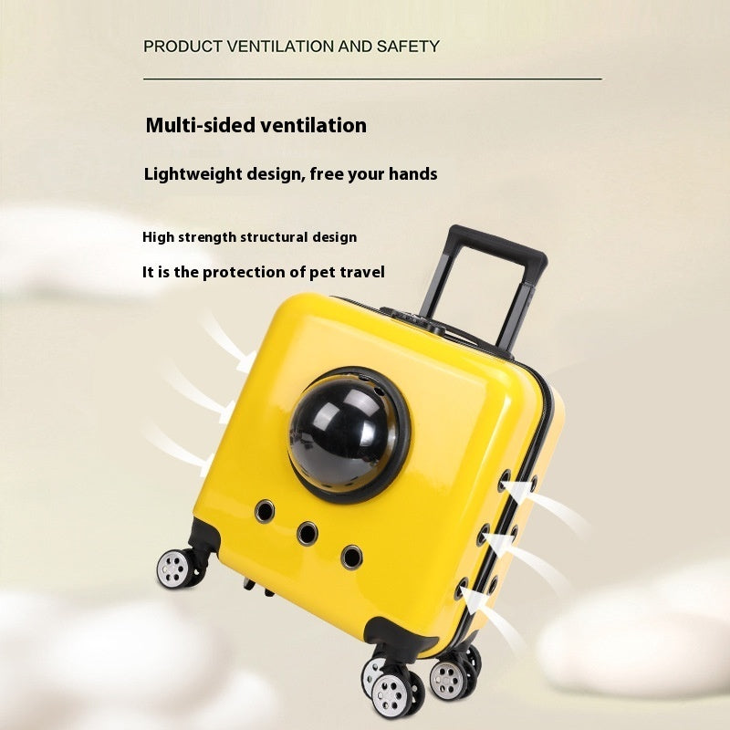 Space Capsule Bag Cat Carry Out Flight Case