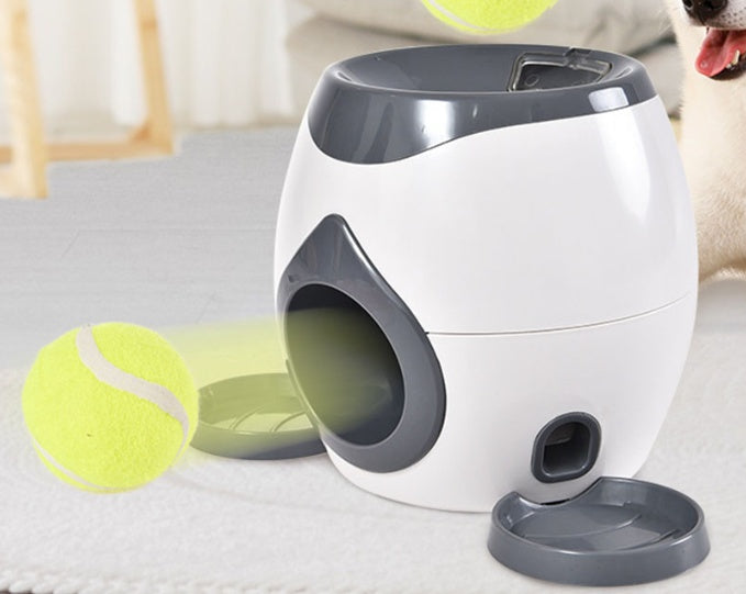 Automatic dog reward machine