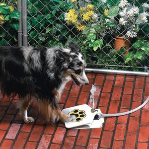 Paw Activated Dog Water Funtain - Outdoor Pet Dispenser