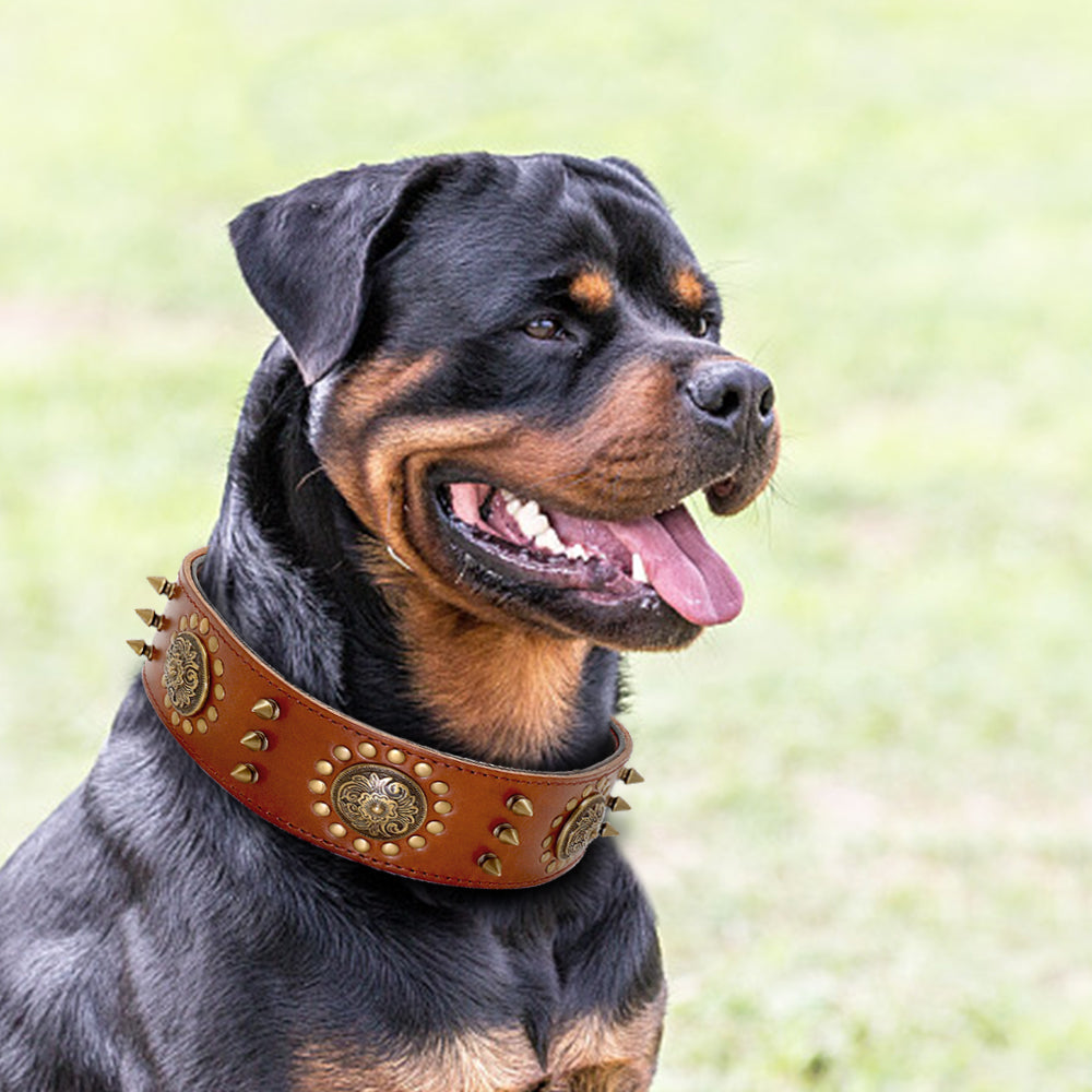 Luxury Leather Stud Dog Collar – Heavy Duty Anti-Bite Collar for Large Dogs | Spiked Designer Pet Collar