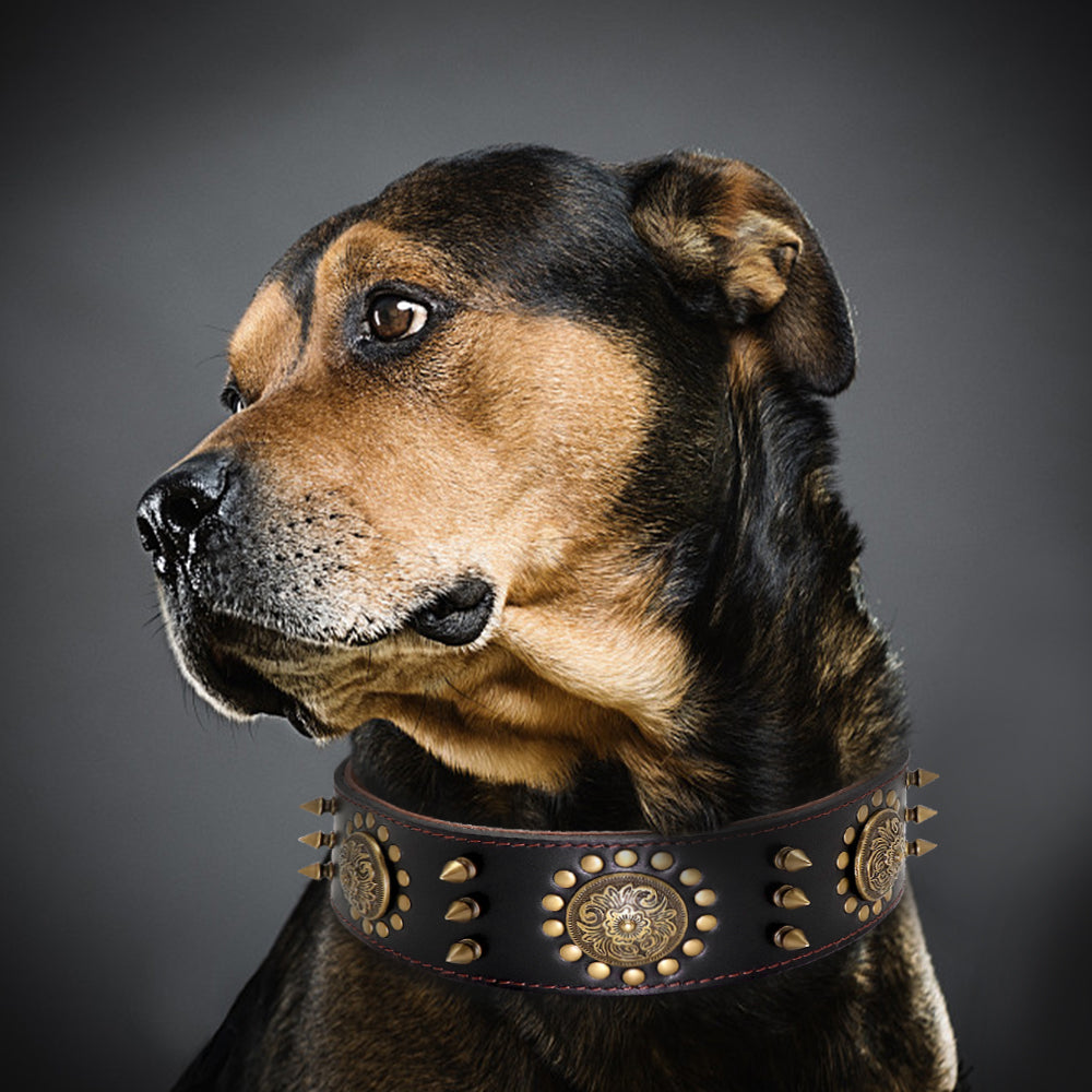 Luxury Leather Stud Dog Collar – Heavy Duty Anti-Bite Collar for Large Dogs | Spiked Designer Pet Collar