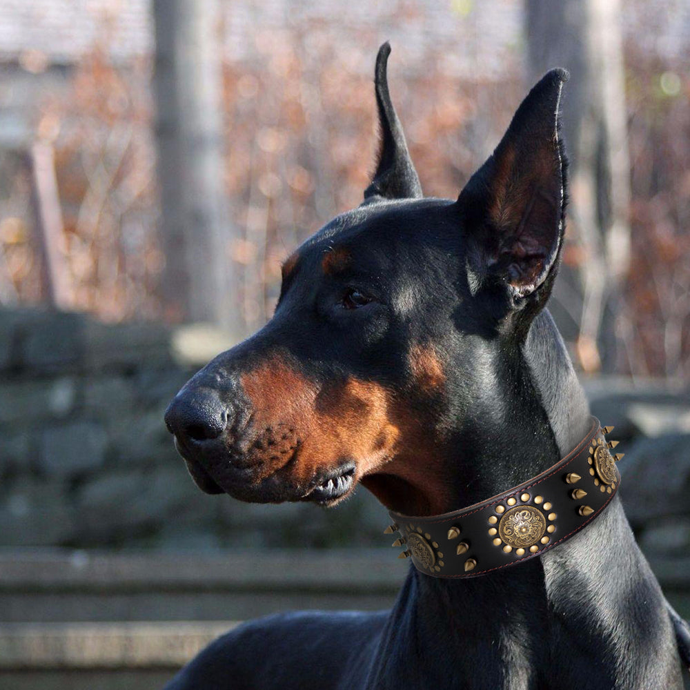 Luxury Leather Stud Dog Collar – Heavy Duty Anti-Bite Collar for Large Dogs | Spiked Designer Pet Collar