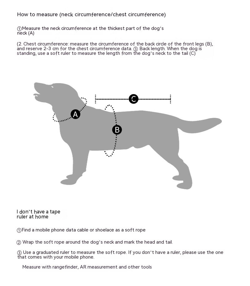 Winter Large Dog Golden Retriever