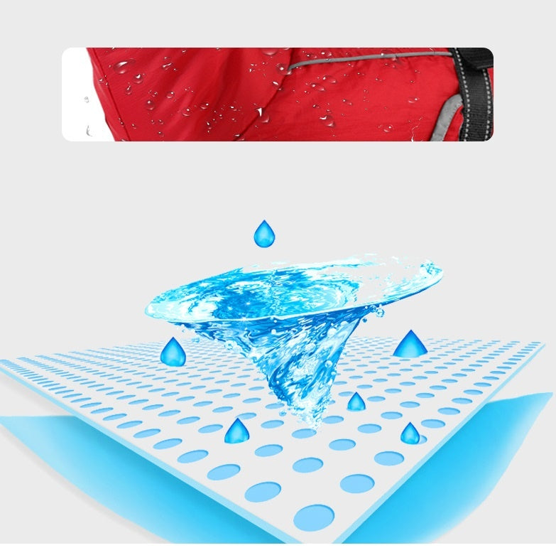 Winter Large Dog Golden Retriever