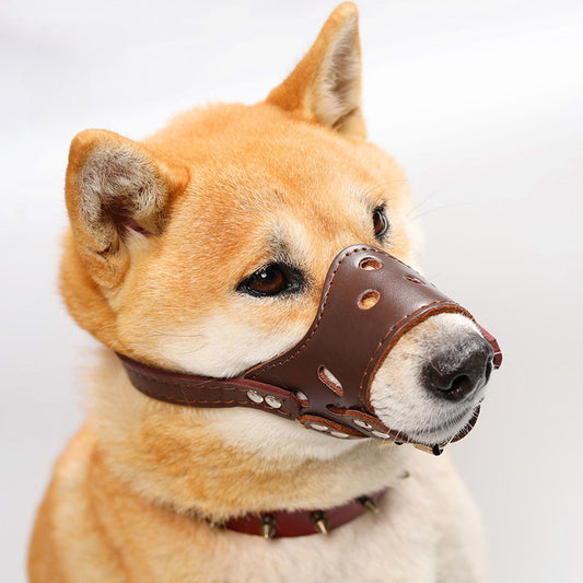 Dog Muzzle Silencer Anti-barking Bite Prevention Feeding Disorder