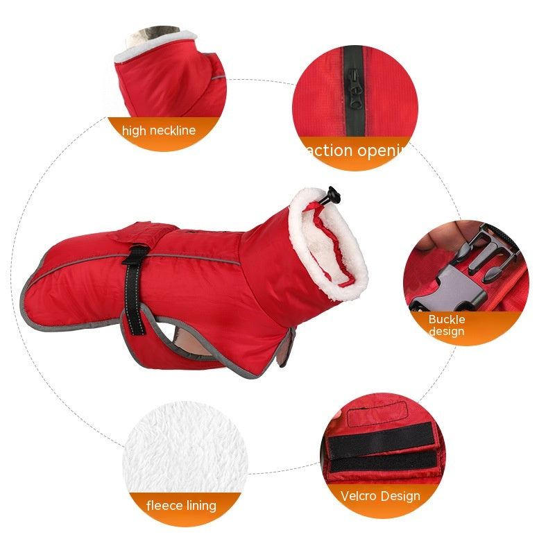 Winter Large Dog Golden Retriever