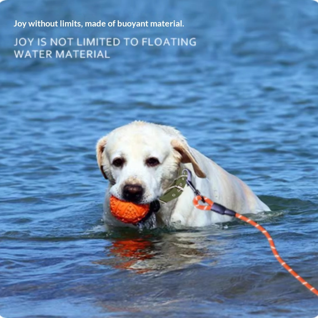 Floating Dog Leash for Swimming & Water Training