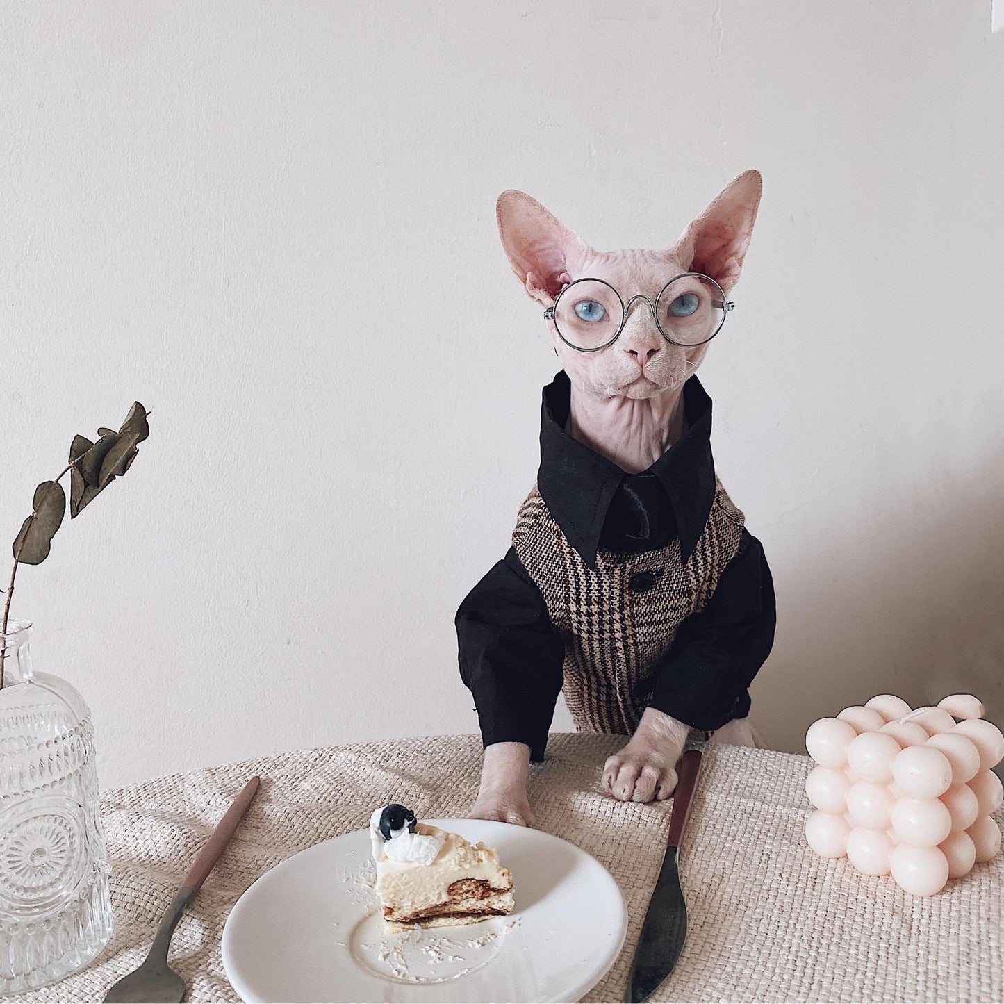 Hairless Cat Clothes Sphinx Cat German Suit Shirt Outfit