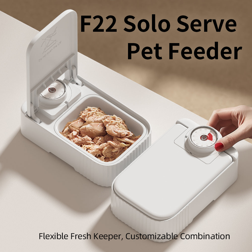 Pet Single Meal Feeders 48h Temporizador Ice Crystal