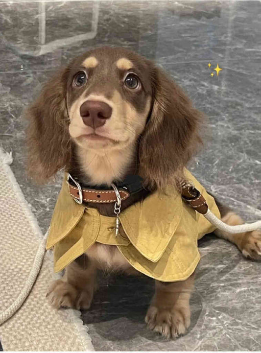 Small Dog British Style Shawl Windbreaker Pet Dog