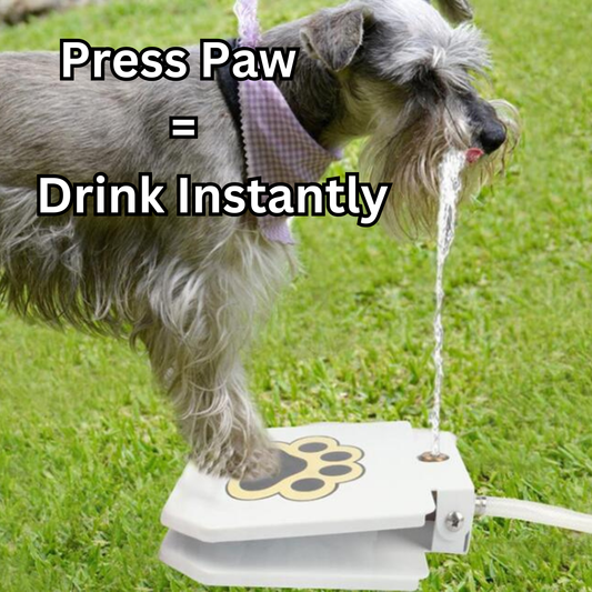 pree paw=drink instantly