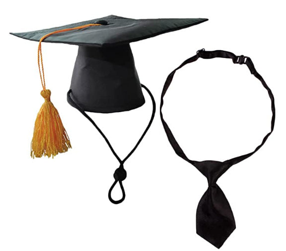 Dog Tassel Doctorial Hat Party