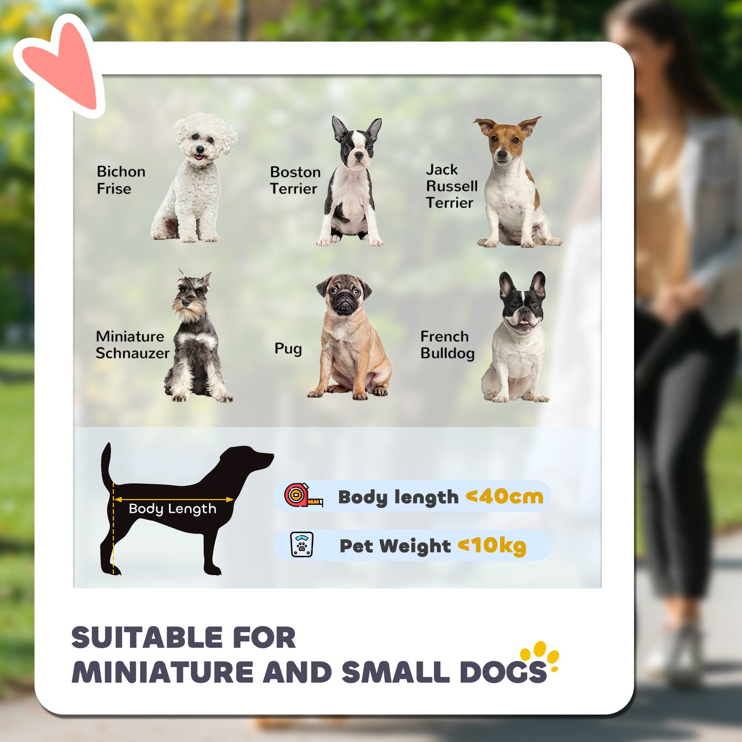 4-in-1 Foldable Dog Stroller & Pet Carrier – Travel Crate for Small Pets