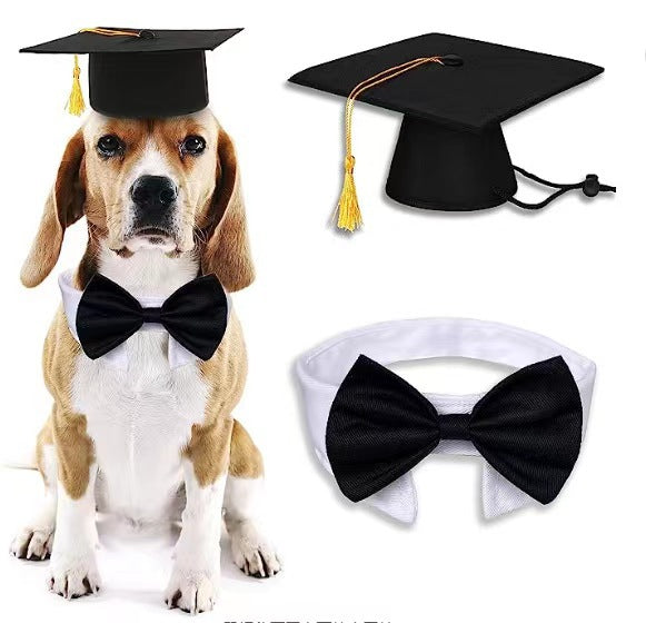 Dog Tassel Doctorial Hat Party