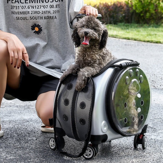 Transparent Pet Carrier Trolley