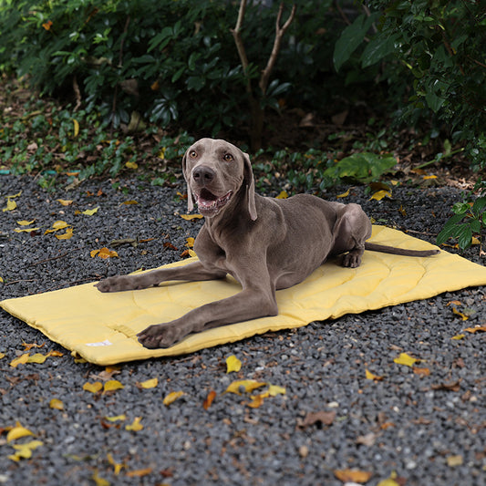 Waterproof Foldable Dog Blanket | Portable Pet Travel Mat & Mattress