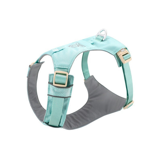 Dog Chest And Back Hand Holding Rope Walking Young Medium Large Dog