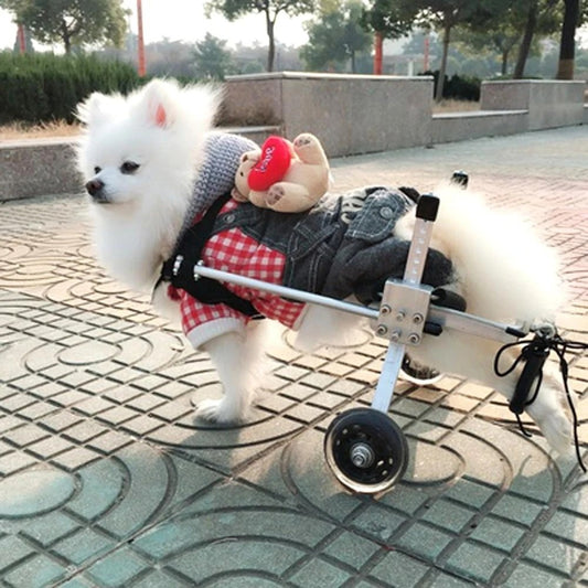 adjustable dog wheelchair