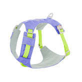Dog Chest And Back Hand Holding Rope Walking Young Medium Large Dog