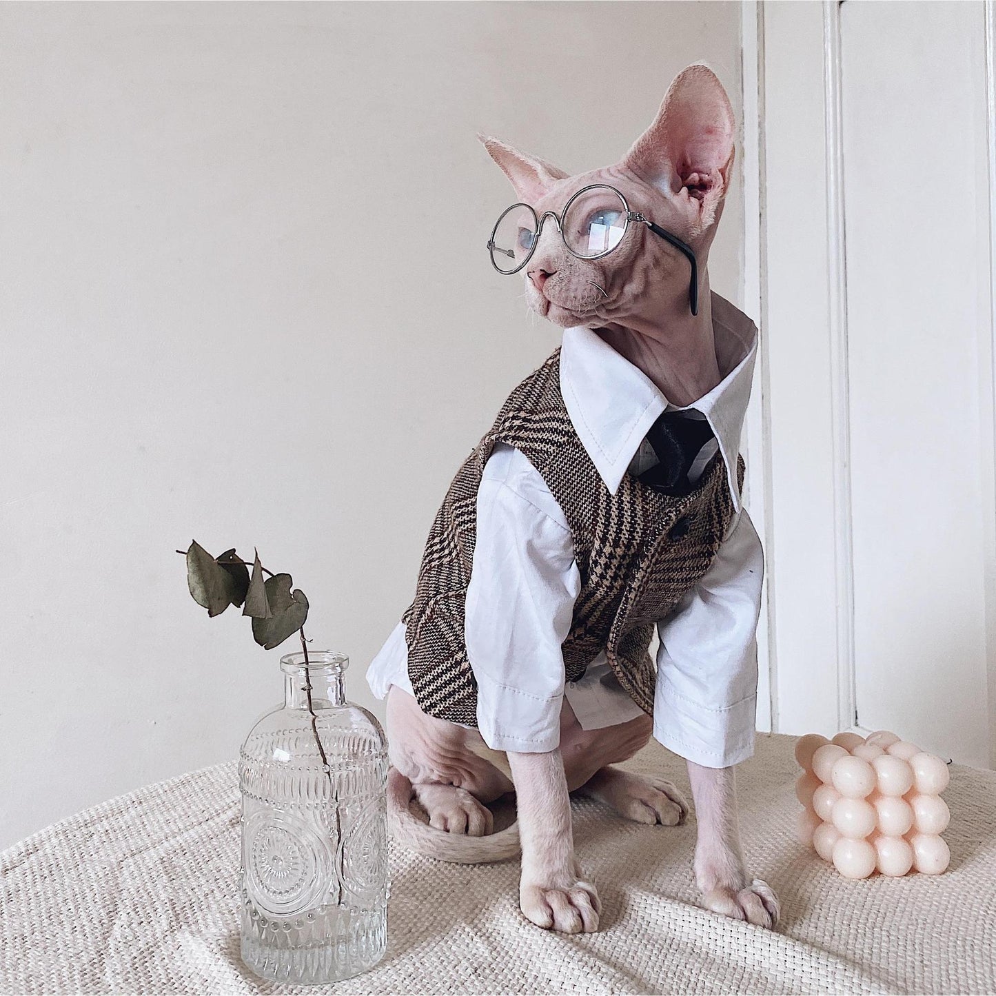 Hairless Cat Clothes Sphinx Cat German Suit Shirt Outfit