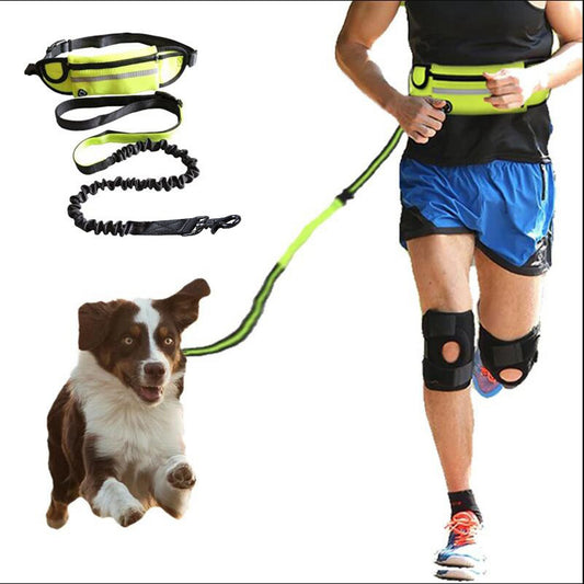 Hands Free Dog Leash Belt-Adjusable Shock Absorbing Pet Runinng Leash