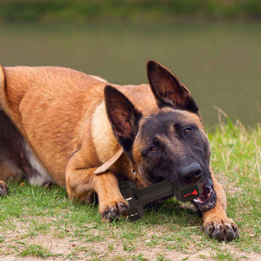 Durable Dog Chew Toys For Aggressive Chewers Food Grade Tooth Cleaning