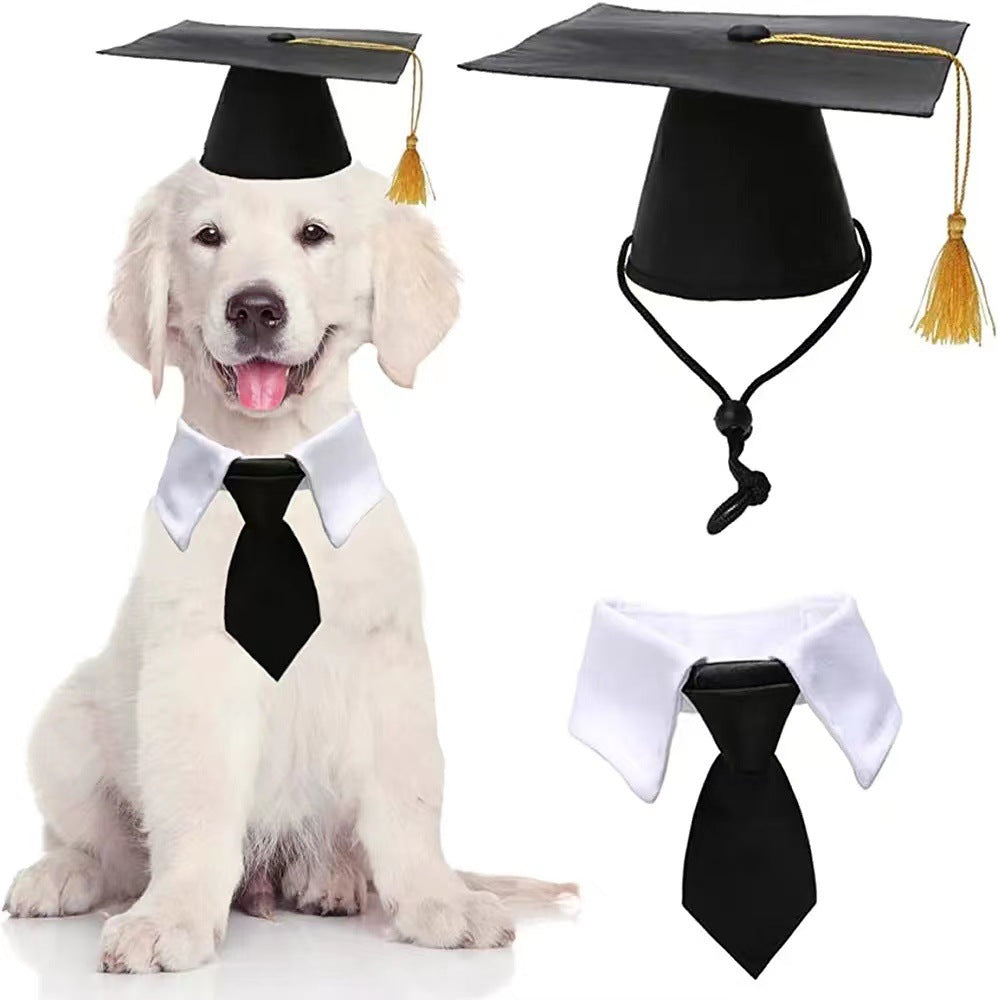 Dog Tassel Doctorial Hat Party