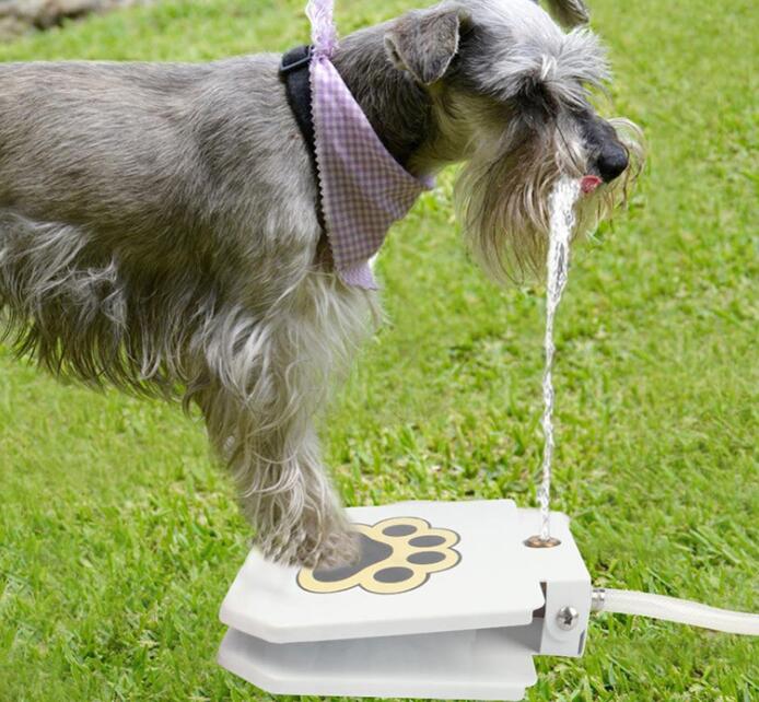 Paw Activated Dog Water Funtain - Outdoor Pet Dispenser