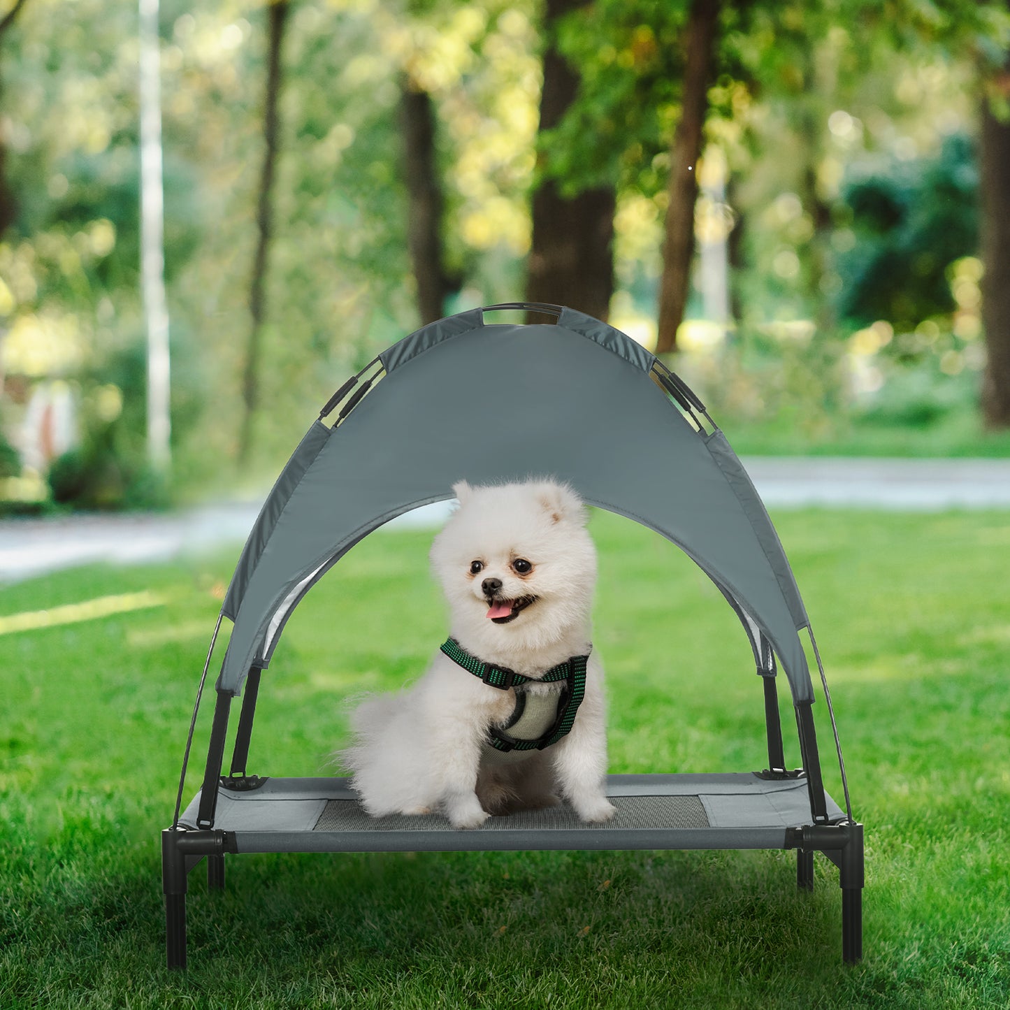 Elevated Dog Bed with Removable Canopy – Outdoor Cooling Pet Bed