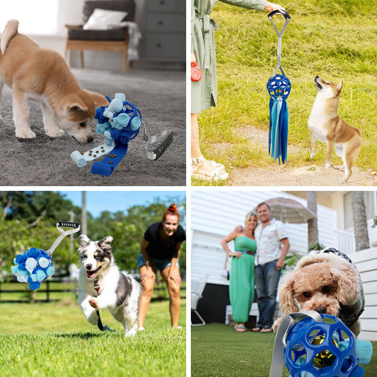 Interactive Toy Ball For Pets Hollow Ball With TPR Sound For Dogs And Cats